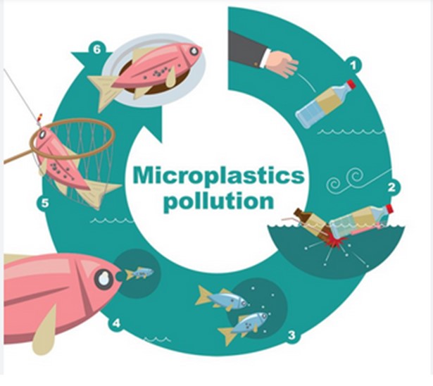 RUTS Laboratory Initiative: Monitoring Microplastic Pollution inAquatic Ecosystem  