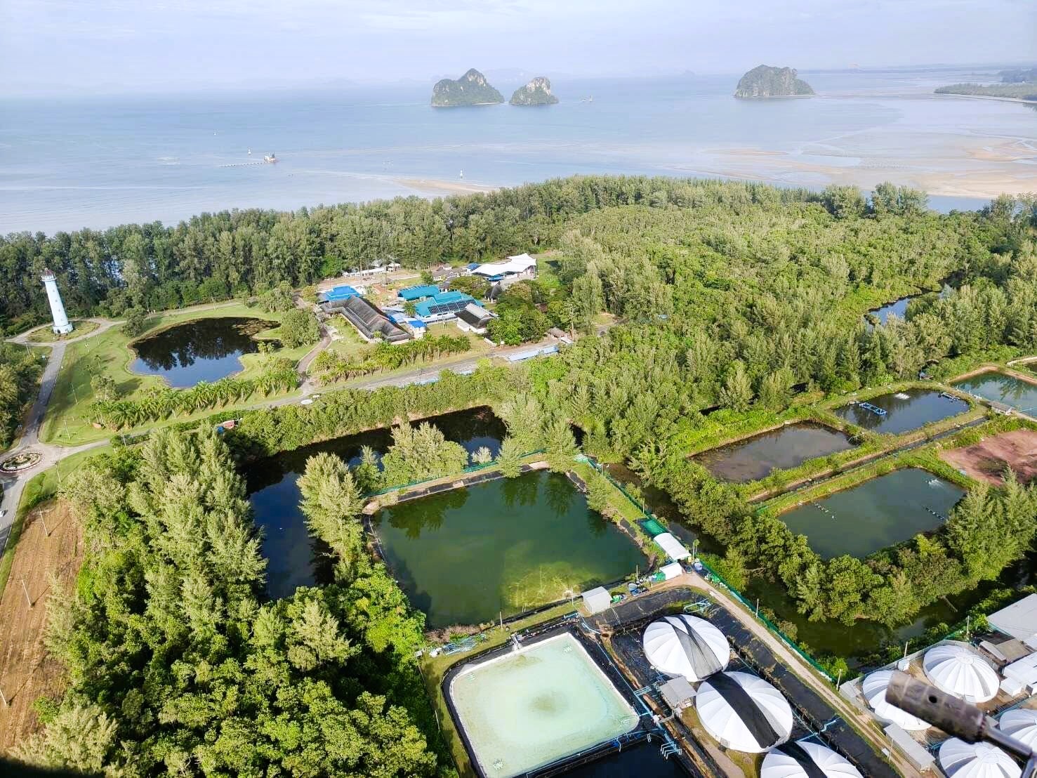 หน้าปกห้องปฏิบัติการ